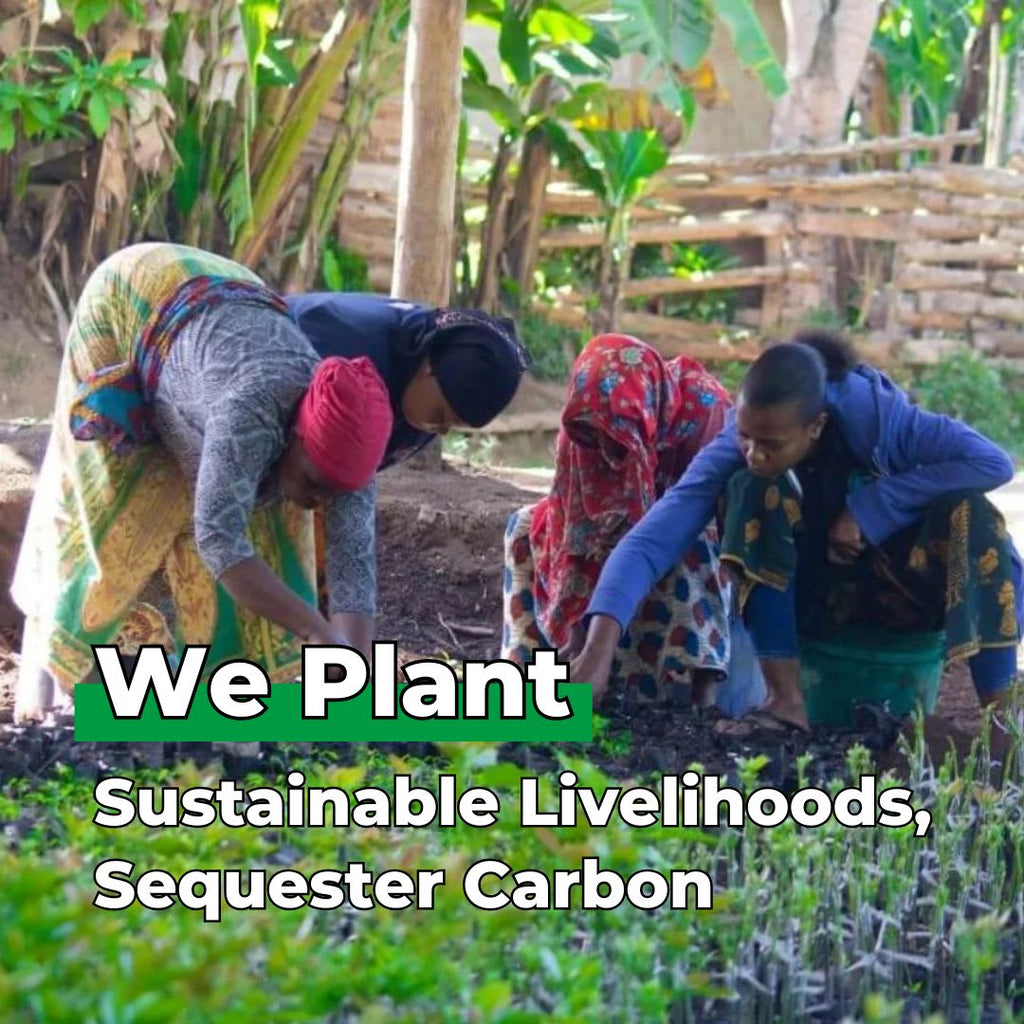 You Plant We Plant Tree Pouch, We Plant 50 More Trees
