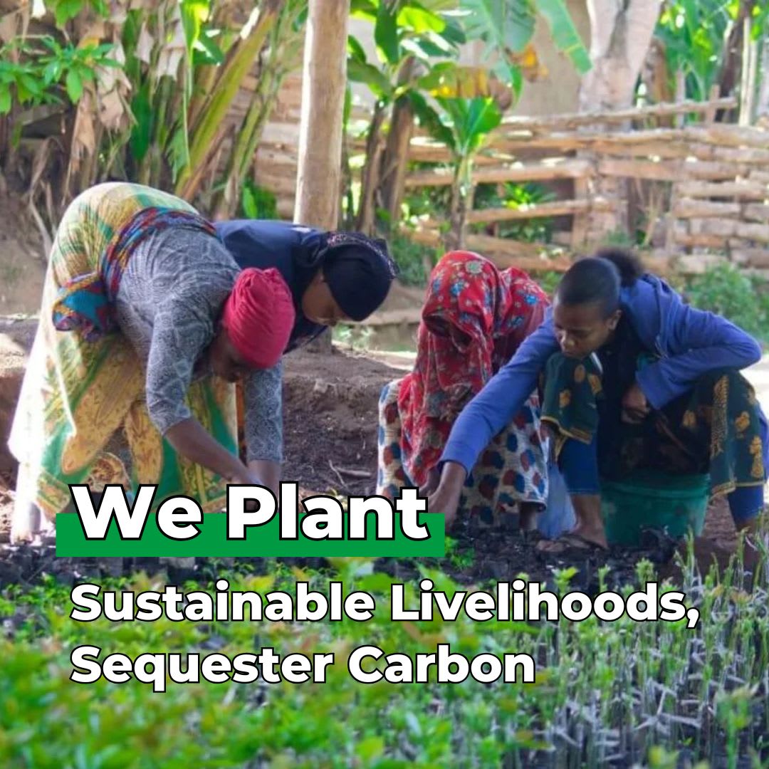 You Plant We Plant Tree Pouch, Grow a Tree and We'll Plant 500 More